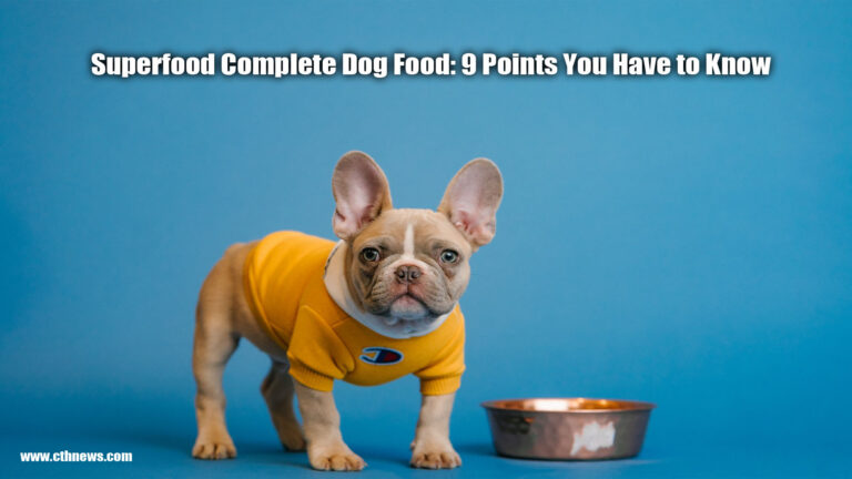 Superfood Complete Dog Food: 9 Points You Have to Know